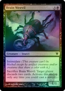Brain Weevil