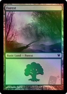 Forest(262)
