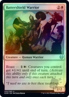 Battershield Warrior