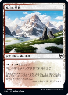 高山の草地