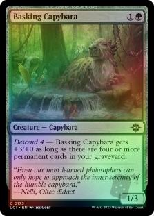 Basking Capybara