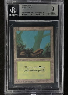 Forest (B) (BGS Graded 9 #0011086253)
