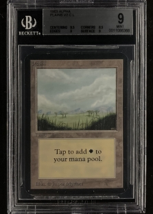 Plains (A) (BGS Graded 9 #0011086368)