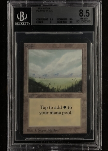 Plains (B) (BGS Graded 8.5 #0011086340)