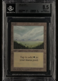 Plains (B) (BGS Graded 8.5 #0011086353)
