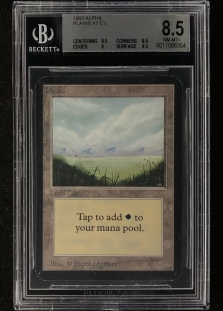 Plains (B) (BGS Graded 8.5 #0011086354)