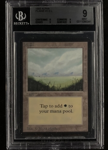 Plains (B) (BGS Graded 9 #0011086341)