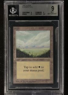 Plains (B) (BGS Graded 9 #0011086357)