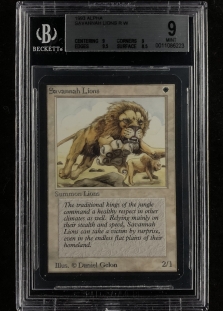 Savannah Lions (BGS Graded 9 #0011086223)