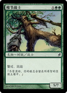 橡节战士