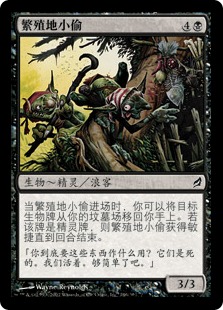 繁殖地小偷