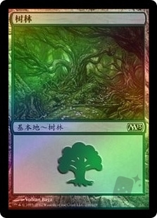 Forest (246)
