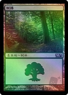 Forest (247)