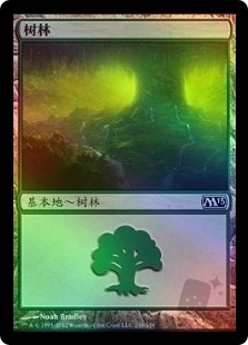 Forest (248)
