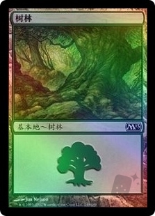 Forest (249)