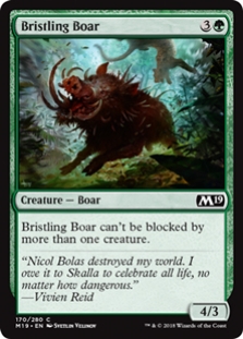 Bristling Boar