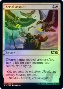 Aerial Assault
