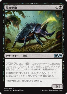 Blightbeetle