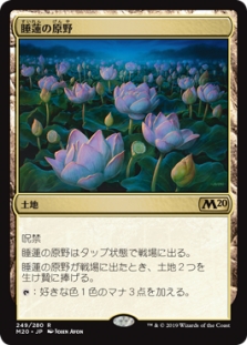 Lotus Field