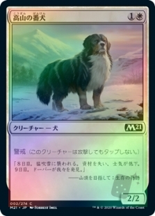 Alpine Watchdog