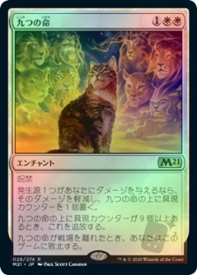 Nine Lives
