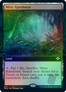 Misty Rainforest (Extended Art)
