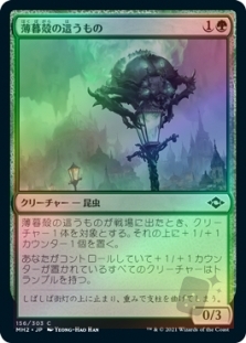 薄暮殻の這うもの