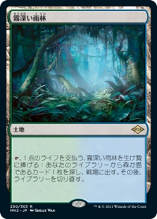 霧深い雨林 (Misty Rainforest) | Modern Horizons 2 Japanese Regular