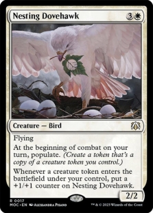 Nesting Dovehawk