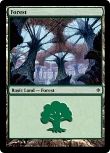 Forest (175)