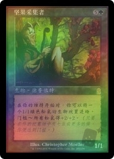 坚果采集者