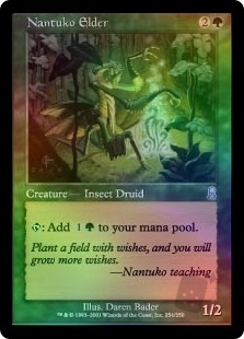 Nantuko Elder