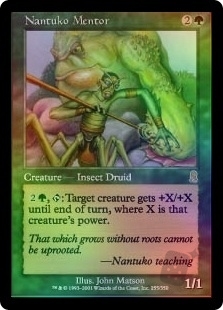 Nantuko Mentor
