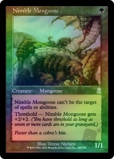 Nimble Mongoose