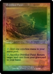 Petrified Field
