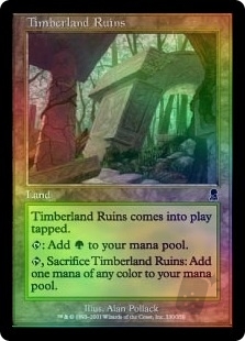 Timberland Ruins