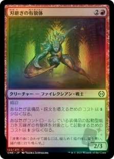 刃継ぎの有貌体