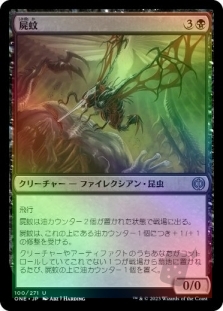 屍蚊