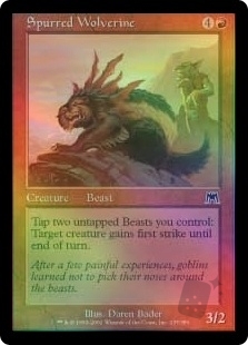 Spurred Wolverine