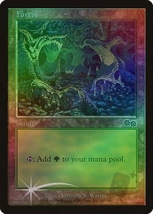Forest (Arena 1999 Urza's Saga)