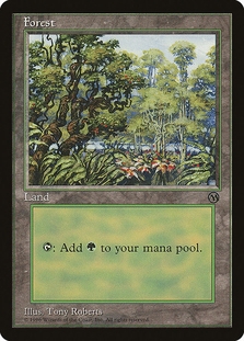 Forest (Arena 1996)