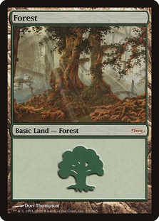 Forest (Arena 2005)