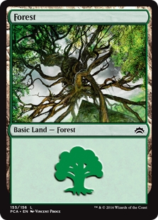 Forest (155)