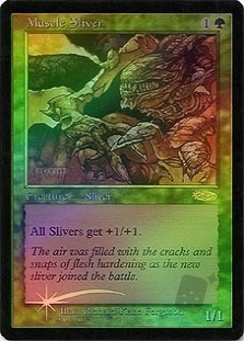 Muscle Sliver (FNM)
