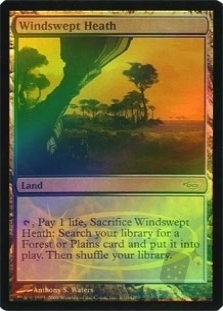 Windswept Heath (Judge)