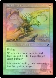 Aven Farseer