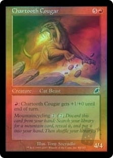 Chartooth Cougar