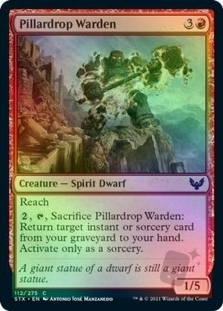 Pillardrop Warden