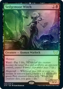 Sedgemoor Witch