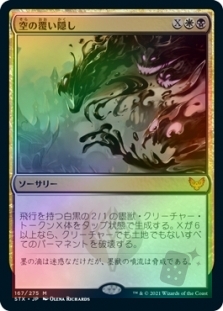 空の覆い隠し